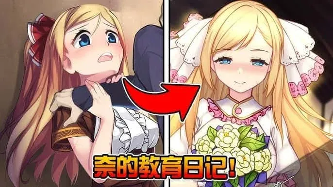 奈的教育日记 攻略要点 场景图